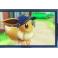 Juego para Nintendo Switch Pokémon: Let's Go, Eevee!