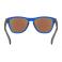 Gafas de sol Oakley Frogskins Xs OJ9006/12
