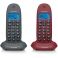  Teléfono inalámbrico Motorola C1002LB+ Gris/Granate